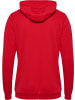 Hummel Hoodie "Hmlauthentic Pl Hoodie" in Rot