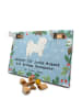 Mr. & Mrs. Panda Hunde Adventskalender Havaneser Moment mit Spruch in Eisblau