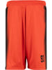 Ecko Unltd. Ecko Unltd. Ecko Unltd. Faded Soccer Shorts in red/black