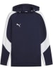 Puma Hoodie "TeamEVOSTRIPE Hoody" in Blau