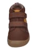 KOEL Ankle Boots DAVID 3.0 WOOL in braun