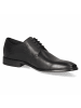 Daniel Hechter Schnürhalbschuh in schwarz