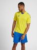 Hummel Hummel T-Shirt Hmlcore Multisport Herren Atmungsaktiv Schnelltrocknend in BLAZING YELLOW/TRUE BLUE