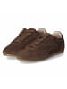 Fräulein Frida Schnürhalbschuh in brown