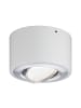 paulmann LED Deckenleuchte Argun
