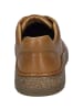 Josef Seibel Sneaker Cleve 02 in camel