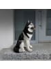 relaxdays Hund-Gartenfigur "Husky" in Schwarz/ Weiß - (B)49 x (H)86 x (T)62 cm