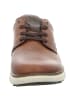 rieker Sneaker in braun