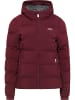 ICEBOUND Winterjacke in Bordeaux