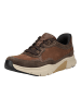 Gabor Sneaker in Coffee