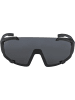 Alpina Ski-Sonnenbrille in schwarz