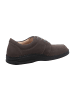 Finn Comfort Komfort Schnürschuhe in Braun