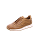 LLOYD Sneaker für Herren in camel