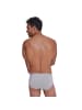 Sloggi Slip 6er Pack in Grau