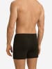 Hanro Boxer Casuals Daywear in earthy ink melange
