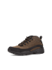 Pius Gabor Sneaker low in braun