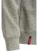 Hummel Sweatshirt Raglanärmel Hmlred Herren in GREY MELANGE