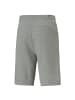 Puma Shorts in Grau