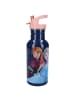VADOBAG Trinkflasche 500ml Die Eiskönigen Frozen II in Take A Sip