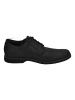 Timberland Schnürschuhe WOODHULL OXFORD in schwarz