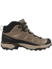 SALOMON Outdoorschuhe X Ultra 360 LTR Mid GTX in hellbraun