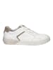 Josef Seibel Sneaker Fred in weiss-beige