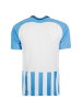 Nike Performance Fußballtrikot Striped Division III in hellblau / weiß