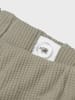 name it Hose in Forest Fog