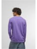Mister Tee Pullover "Courtside Sports Emb Light Crew Sweatshirt" in Lila