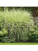relaxdays 3-tlg. Beeteinfassung in Dunkelbraun - (B)63 x (H)79 cm