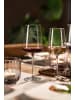 Zwiesel Glas 6er Set Weingläser Vivid Senses 363 ml transparent in transparent