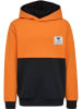 Hummel Hummel Kapuzenpullover Hmlozzy Multisport Jungen Atmungsaktiv in PERSIMMON ORANGE