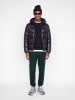 Jack & Jones Jogginghose in Scarab