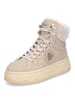 BLAUER USA Schnürboot Maribel in Taupe