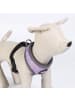 Disney Hundegeschirr M/L Villains Verstellbar & bequem für Hunde
