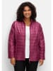 sheego Steppjacke in bordeaux