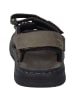 Josef Seibel Freizeitschuhe in grau