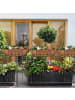 relaxdays 3x Blumenkasten in Braun/ Natur