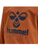 Hummel Kinder Sweatshirt "Spirit Sweatshirt" in Braun
