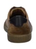 Josef Seibel Sneaker Lio 06 in braun
