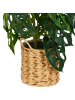 Beliani Kunstpflanze MONSTERA ADANSONII in Grün/Schwarz - (W) 27 x (H) 53 x (L) 27 cm