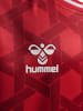 Hummel Trikot S/S Wer 23/24 Gk Jersey S/S Kids in TRUE RED