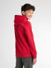 Petrol Industries Artwork Hoodie Wenatchee in Rot