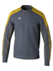 erima Unisex Erwachsene Sweatshirt in slate grey/gelb
