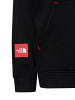 The North Face Pullover in schwarz - 0001