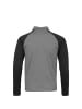 Puma Sweatshirt TeamLIGA 1/4 Zip in grau / schwarz