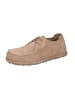 Birkenstock Schnürschuh in taupe