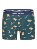 Happy Shorts Boxer Christmas in green/ navy Gingerbreadmen + green/blue