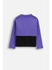 Coccodrillo Langarmshirt in violett