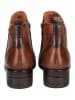 Pikolinos Stiefelette in Braun